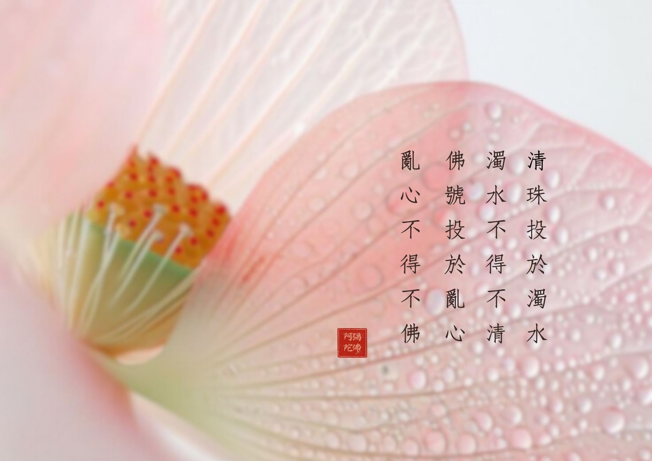 真如禪院簡介