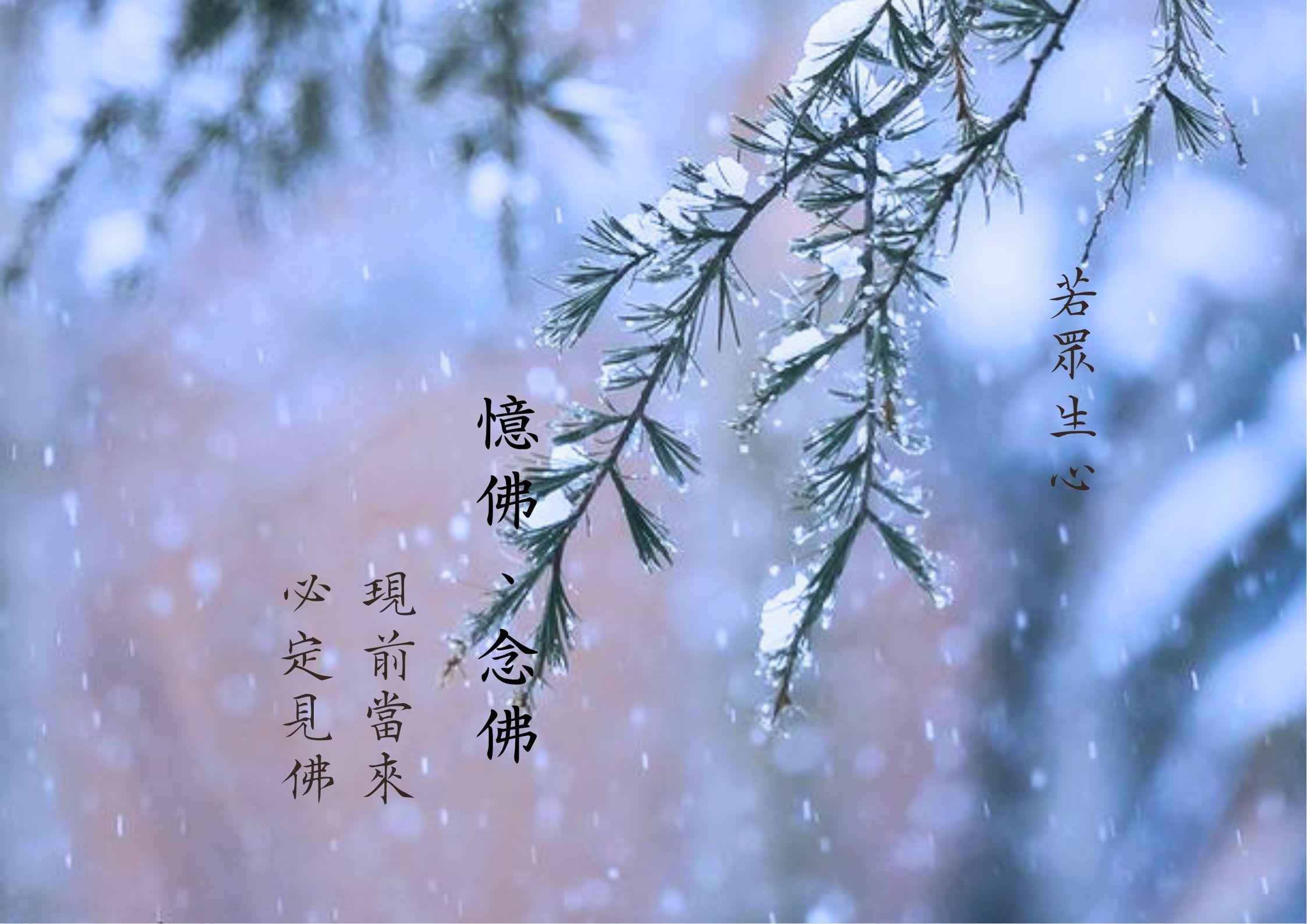 真如禪院簡介